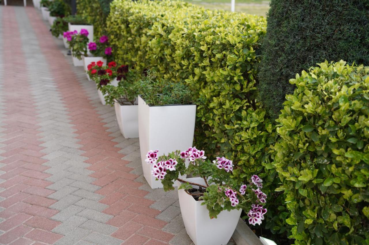 Apartments Costa Azzurra Velipoje Luaran gambar